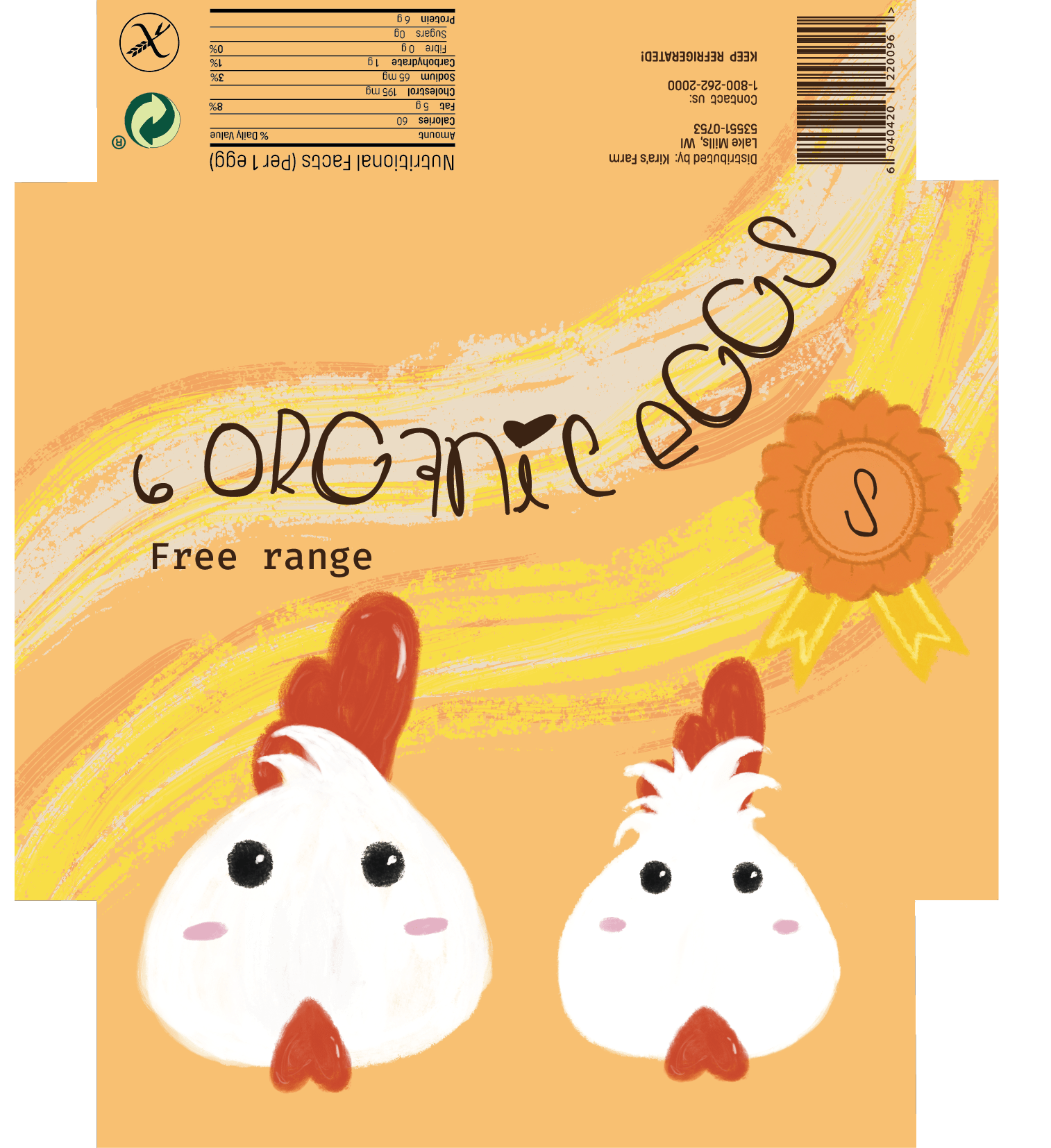 Egg Carton Design.png