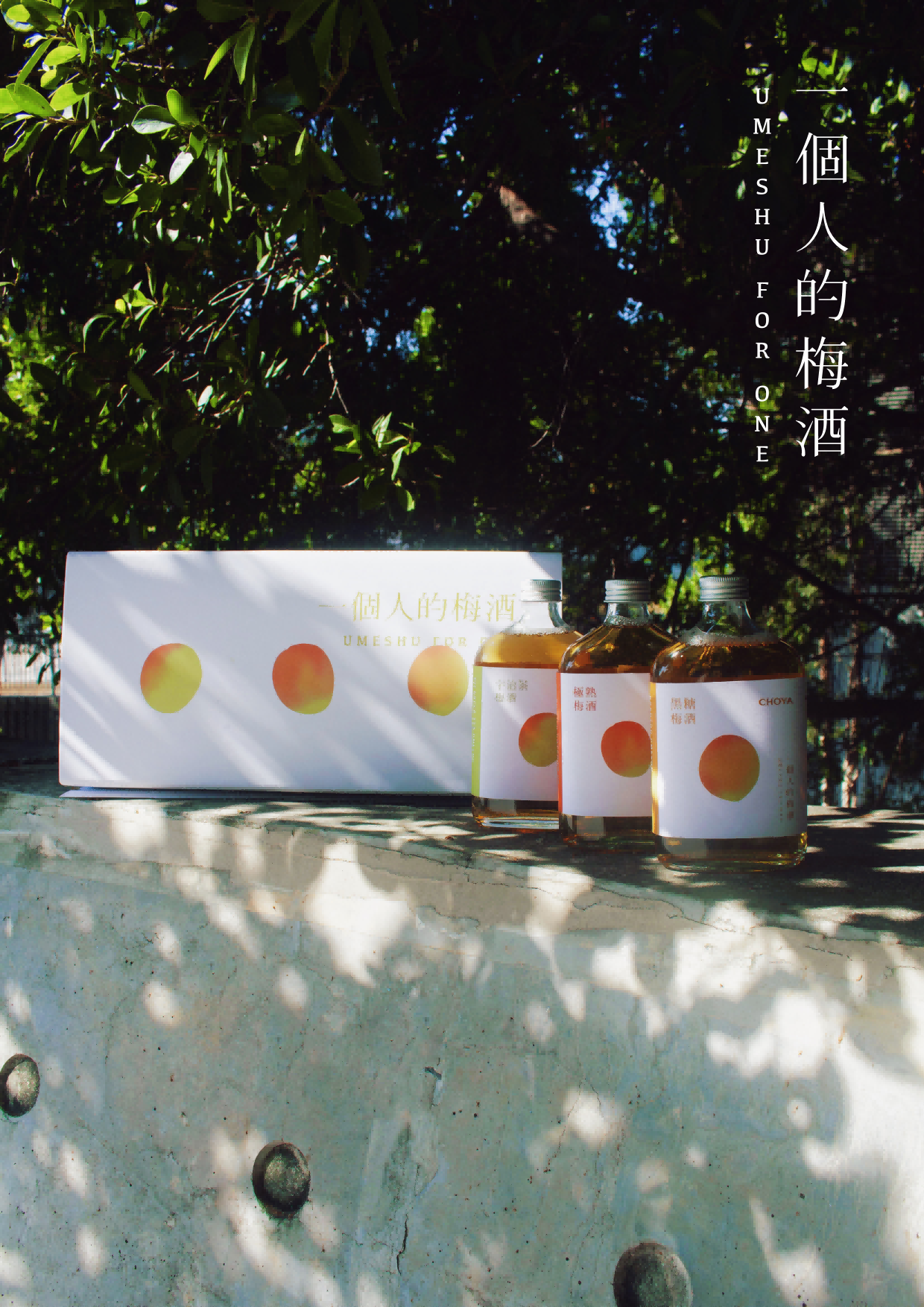 一個人的梅酒 包裝設計 Umeshu for One Packaging Design.png