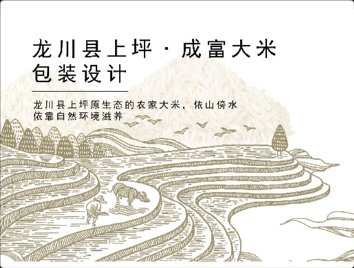 成富大米包装设计